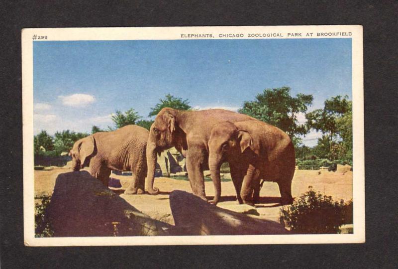 IL Elephants Chicago Zoological Park Brookfield Illinois Zoo Animals Postcard