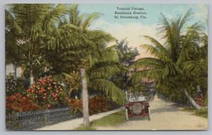 St Petersburg Florida~Tropical Foliage From Str~Residence Dist~Vintage Postcard 
