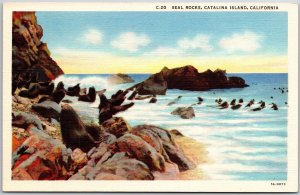 Seal Rocks Catalina Island California CA Eastern End Of The Island Postcard