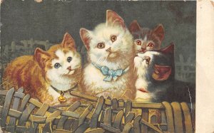 us7436 cats artist signed  wenau delila  kittens kitties