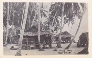 Native Huts New Guinea Real Photo