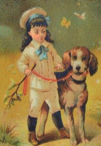 1880's D. C Adams Groceries & Provisions Lautz Bros Soaps Child & Cute Dog P70