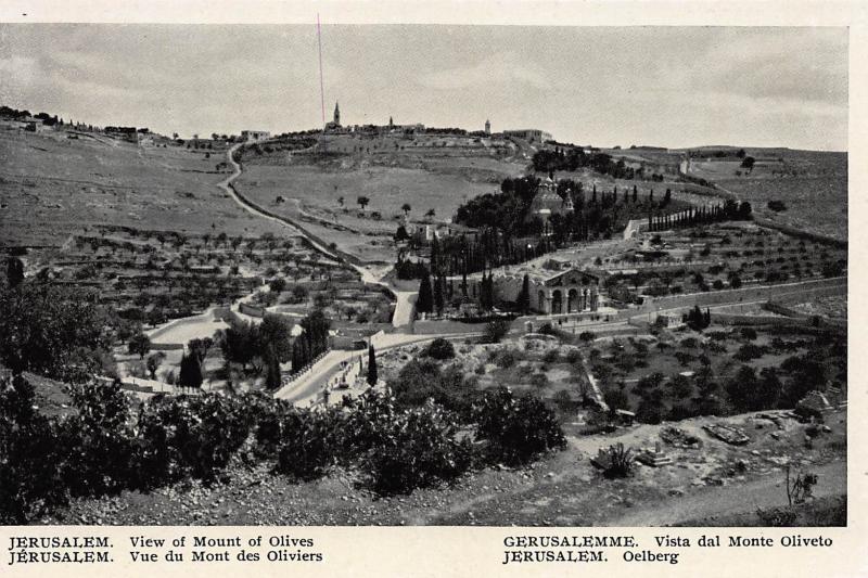 View of Mount of Olives, Jerusalem, Palestine, Early Postcard, Unused