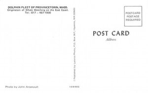 Dolphin Fleet  Provincetown, Massachusetts Postcard