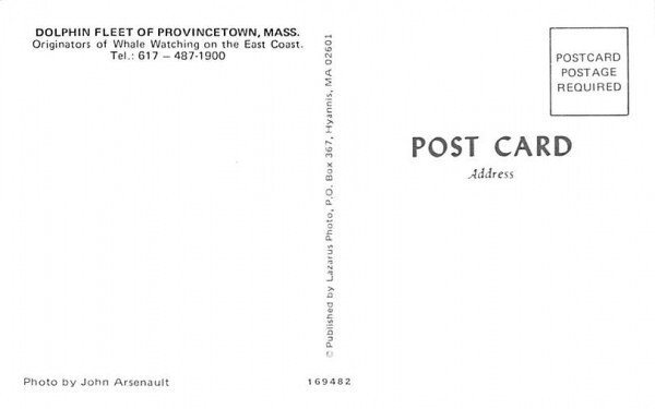 Dolphin Fleet  Provincetown, Massachusetts Postcard
