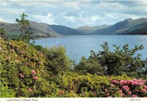 uk45451 loch broom wester ross scotland uk