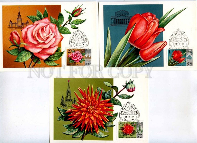 284681 USSR 1977 year Pikunov flowers SET of 5 Maximum cards