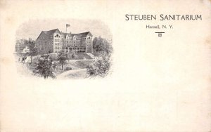 Hornell New York Steuben Sanitarium Vintage Postcard AA66273