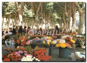 Modern Postcard Beziers Herault The flower market on the aisles