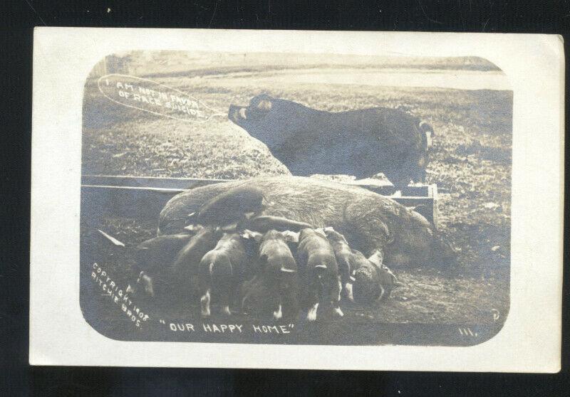 RPPC ROBINSON ILLINOIS PIG PIGS FARM FARMING PIGLETS REAL PHOTO POSTCARD ILL.