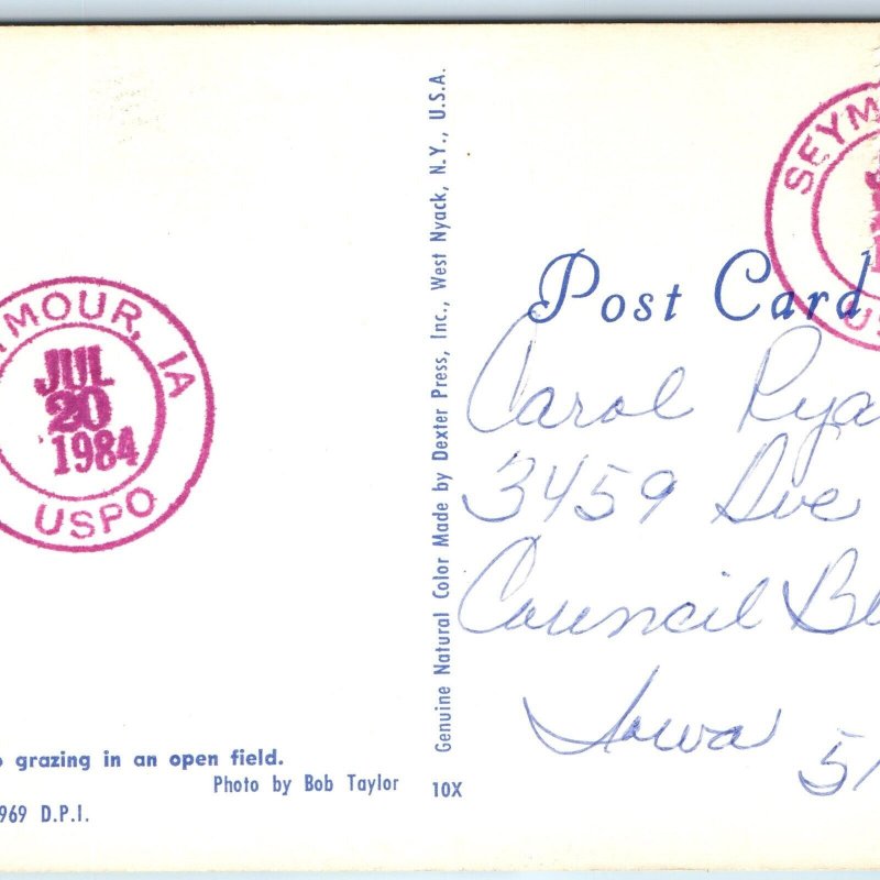 1984 Seymour, IA Purple USPO Post Office Cancel Postcard Postal History A267