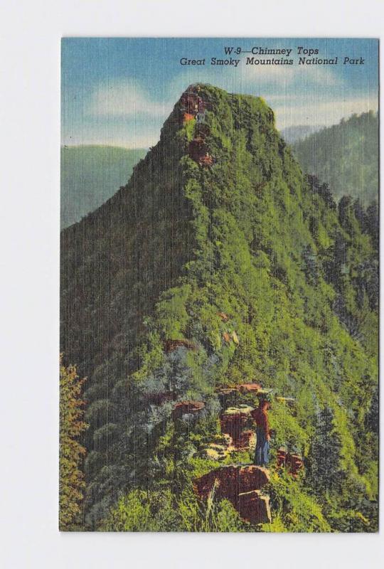 VINTAGE POSTCARD NATIONAL STATE PARK GREAT SMOKY MOUNTAINS CHIMNEY TOPS #1