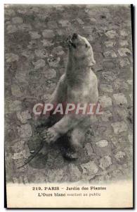 Old Postcard Bear Paris Garden plants L & # smiling white 39ours public