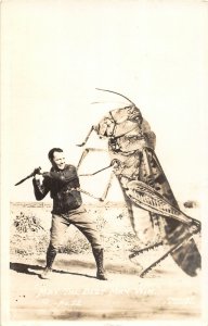 G58/ Interesting RPPC Postcard c1940 Exaggeration Grasshopper 25