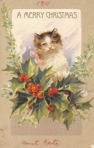  Christmas Cat in holly c1911 ae110 postcard