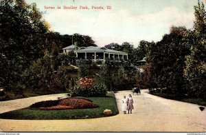 Illnois Peoria Scene In Bradley Park 1908