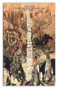 Totem Pole Carlsbad Caverns National Park New Mexico Postcard