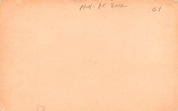 Boat House & Pavilion Newburgh, New York Postcard