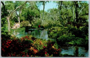 La Canada California 1960s Postcard Lovely Descanso Gardens