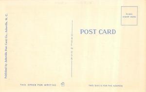 NC, North Carolina  ALONG THE APPIAN WAY~Chimney Rock Section  c1940's Postcard