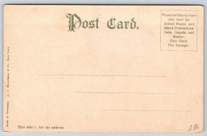 Johnstown Pennsylvania~City Hall Stone Bldg~Clock Tower~Romanesque~c1905 PC