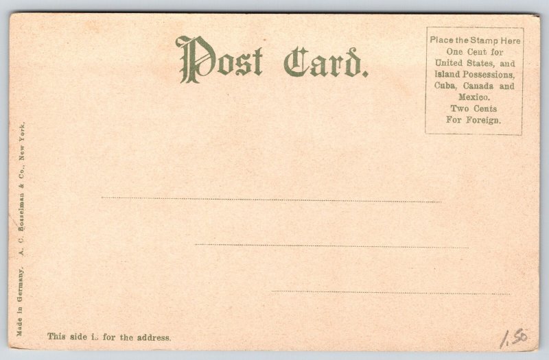 Johnstown Pennsylvania~City Hall Stone Bldg~Clock Tower~Romanesque~c1905 PC