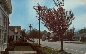 Orleans Massachusetts MA Cape Cod Main St. Cars c1950s-60s Postcard