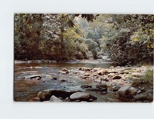 Postcard Davidson River Pisgah National Forest North Carolina USA