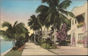 Palm Beach Florida FL Lake Trail Apartments Albertype Vintage Postcard