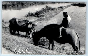 RPPC Quinhon boy riding bulls VIETNAM Agfa photograph