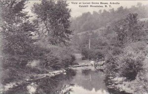 New York Catskill Mountains Arkville View At Locust Grove House Albertype