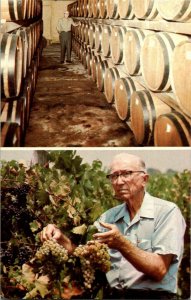 Herman Wiederkehr Wine Vineyards Altus AR Vintage Postcard Standard View Card 
