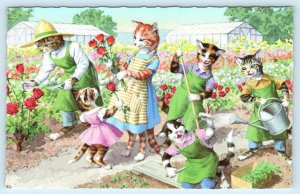 Mainzer DRESSED CATS Anthropomorphic ROSE GARDEN Kittens #4927 Belgium  Postcard