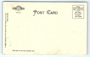 JACKSONVILLE, FL Florida ~ WATER WORKS PARK Lily Pond c1900s  Postcard