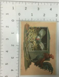 Nesting Chicken & Rooster With Chicks Victorian Trade Card Auburn New York 