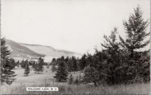 Williams Lake BC British Columbia Unused Vintage RPPC Real Photo Postcard D39