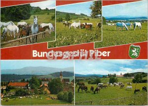 Postcard Modern Piber Steiermark Austria