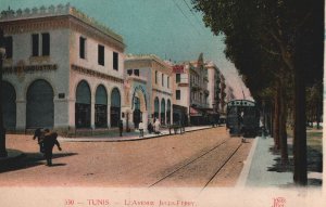 VINTAGE POSTCARD STREET CARS ALIGN AVENUE JULES-FERRY TUNIS TUNISIA 1910's