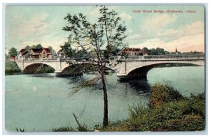 1910 Cedar Street Bridge Lake River View Mishawaka Indiana IN Posted Postcard