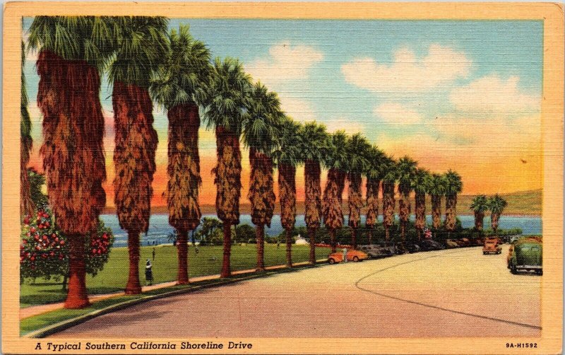 Typical Southern California Shoreline Dr Sunset Linen Postcard UNP VTG Unused 