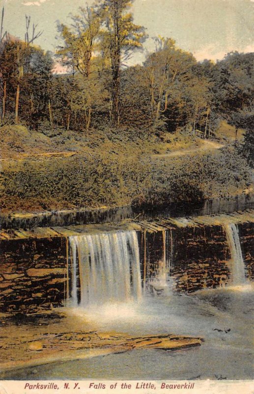 Parksville New York view of Falls of the Little Beaverkill antique pc ZA441359