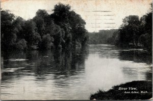 Vtg 1909 River View Ann Arbor Michigan MI Postcard