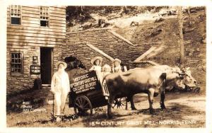 Norris Tennessee Grist Mill Cows Real Photo Antique Postcard K60645