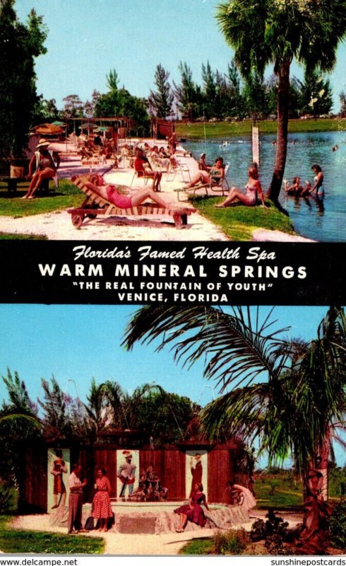 Florida Venice Warm MIneral Springs