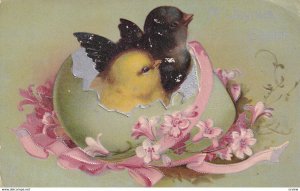 EASTER; 1900-10s; Black & Yellow Chick cracking out of green egg, Pink ribbon...