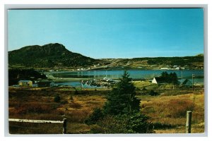Holyrood Harbour Conception Bay Peninsula Newfoundland Canada c1960 Postcard I15