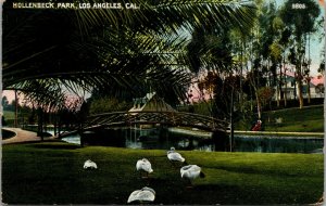 Vtg 1910s Hollenbeck Park Swans Bridge Los Angeles California CA Postcard