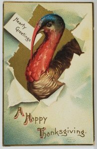 Ellen Clapsaddle Thanksgiving Hearty Greetings Turkey Embossed Postcard R16