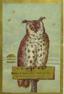 1880's R. M Bishop & Co. Straiton & Storm's New York Cigars Owl Night Stars F98