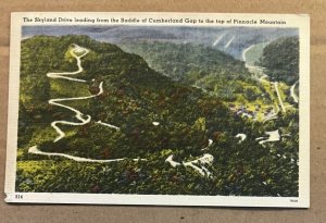 VINTAGE LINEN POSTCARD UNUSED - SKYLAND DR. FROM CUMBERLAND GAP - PINNACLE MTN.